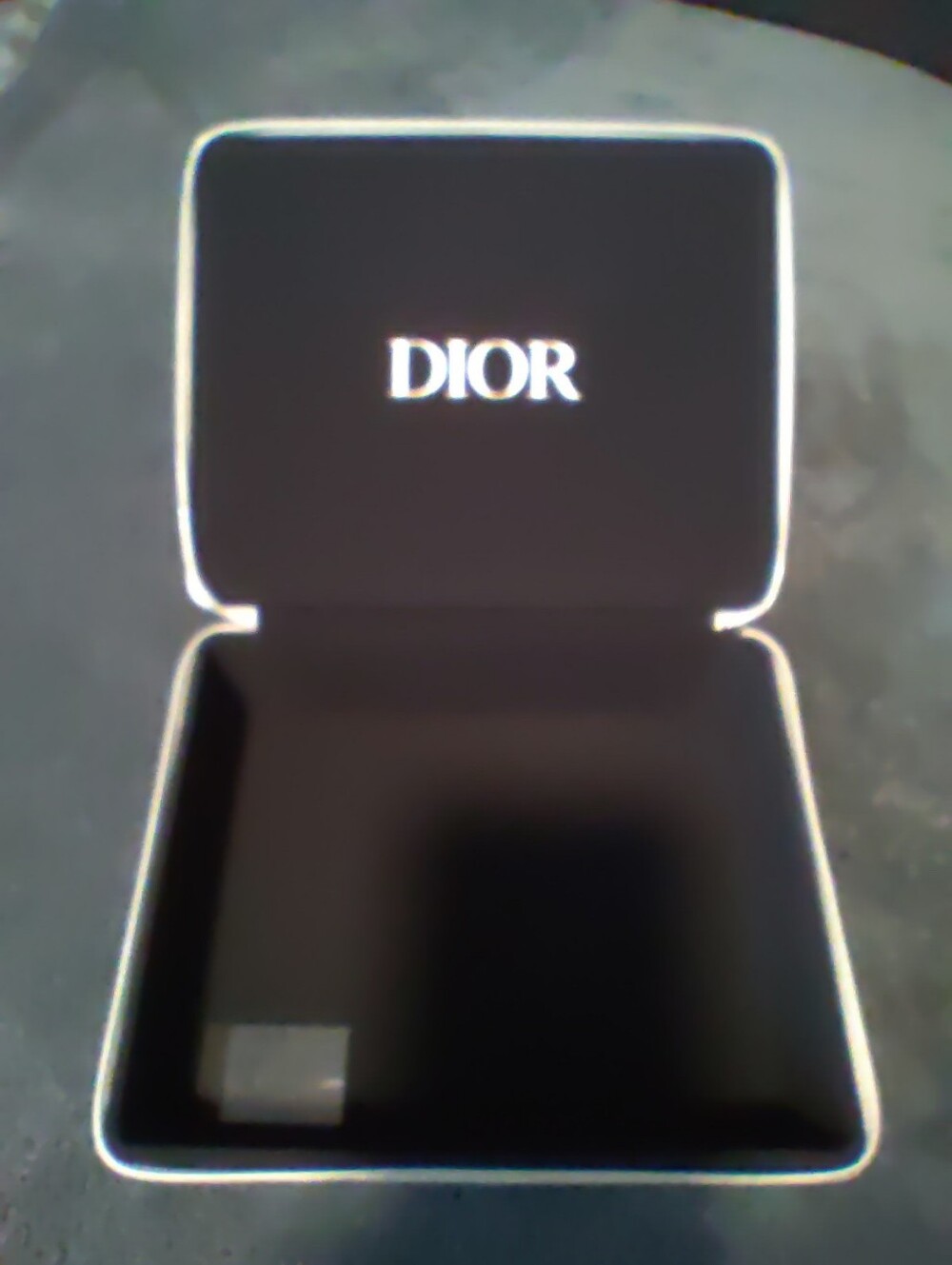 Dior Gold-Beige Embossed Accessory Case